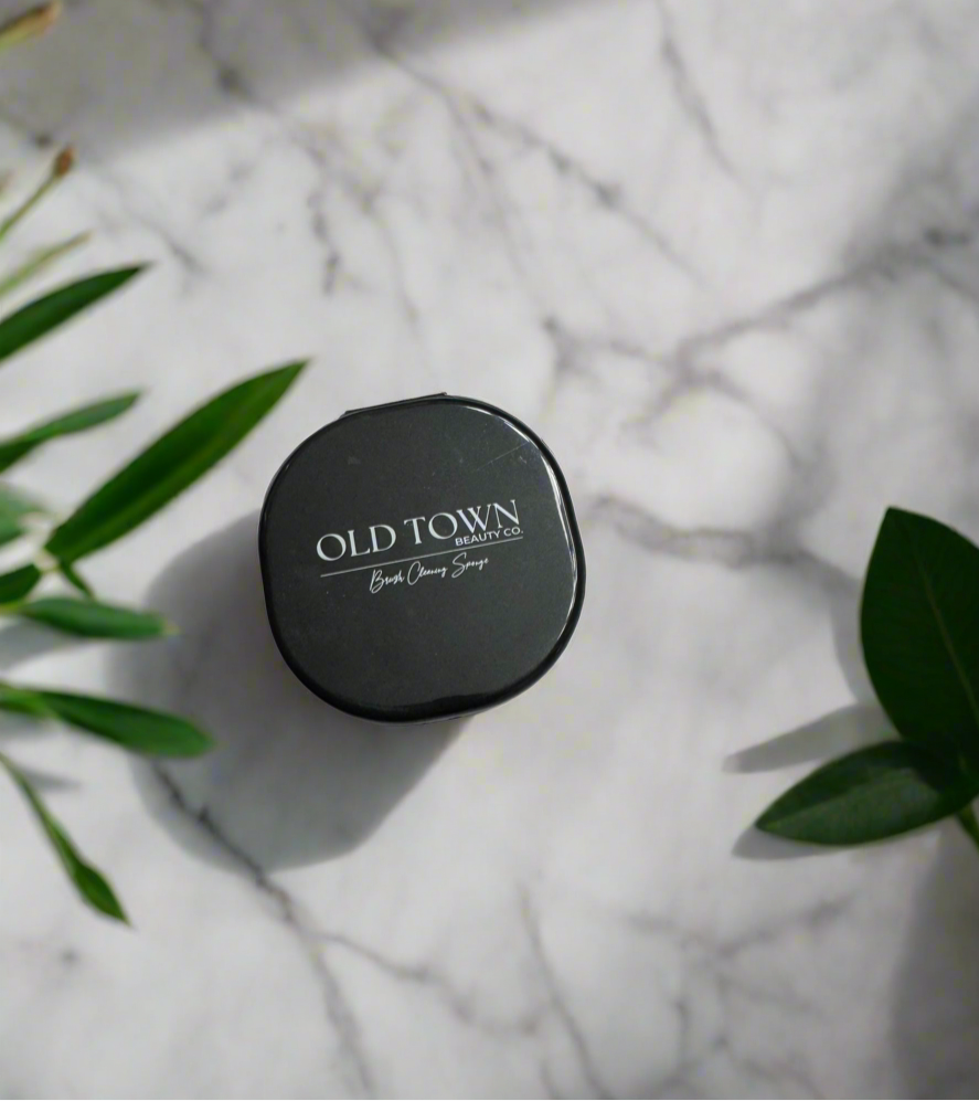 Brush Cleaning Sponge